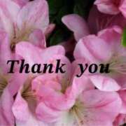 ヒメ日記 2025/05/27 17:40 投稿 原田麗子 五十路マダム 岐阜店