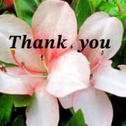 ヒメ日記 2025/05/27 17:50 投稿 原田麗子 五十路マダム 岐阜店