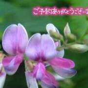 ヒメ日記 2025/07/16 14:26 投稿 原田麗子 五十路マダム 岐阜店