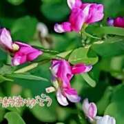 ヒメ日記 2025/07/17 15:38 投稿 原田麗子 五十路マダム 岐阜店