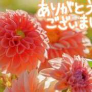 ヒメ日記 2025/07/20 23:50 投稿 原田麗子 五十路マダム 岐阜店