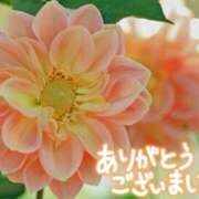 ヒメ日記 2025/07/21 00:18 投稿 原田麗子 五十路マダム 岐阜店