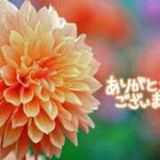 ヒメ日記 2025/07/21 09:54 投稿 原田麗子 五十路マダム 岐阜店