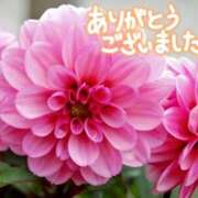 ヒメ日記 2025/07/21 10:04 投稿 原田麗子 五十路マダム 岐阜店