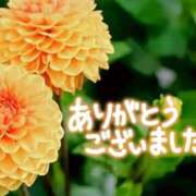 ヒメ日記 2025/07/21 10:48 投稿 原田麗子 五十路マダム 岐阜店