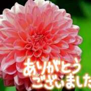 ヒメ日記 2025/07/21 11:04 投稿 原田麗子 五十路マダム 岐阜店