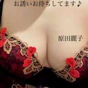 ヒメ日記 2025/11/11 14:22 投稿 原田麗子 五十路マダム 岐阜店