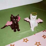 ヒメ日記 2024/12/14 13:04 投稿 るな 人妻倶楽部 内緒の関係 大宮店