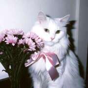 ヒメ日記 2025/02/27 12:24 投稿 るな 人妻倶楽部 内緒の関係 大宮店