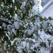 ヒメ日記 2026/02/08 07:04 投稿 るな 人妻倶楽部 内緒の関係 大宮店