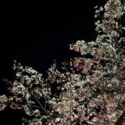 ヒメ日記 2025/04/12 00:01 投稿 ひかり☆未経験純情Fカップ Ribbon 1st