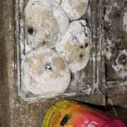 ヒメ日記 2025/07/26 00:10 投稿 冴木（さえき） 熟女の風俗最終章 大宮店