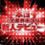 ヒメ日記 2024/09/10 11:50 投稿 ユウ　【至極の癒し系バニー】 ドMなバニーちゃん和歌山店