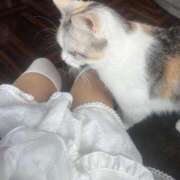 ヒメ日記 2025/01/12 21:10 投稿 べりぃ E+アイドルスクール池袋店