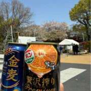 ヒメ日記 2025/04/25 12:49 投稿 こきん スピードエコ日本橋店