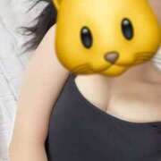 ヒメ日記 2026/02/12 17:09 投稿 こきん スピードエコ日本橋店