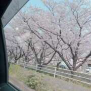 ヒメ日記 2025/04/05 16:41 投稿 まりか 名古屋回春性感マッサージ倶楽部