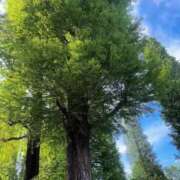 ヒメ日記 2025/05/02 12:21 投稿 まりか 名古屋回春性感マッサージ倶楽部