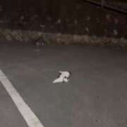 ヒメ日記 2025/05/19 00:59 投稿 まりか 名古屋回春性感マッサージ倶楽部