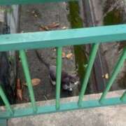 ヒメ日記 2025/06/06 23:52 投稿 まりか 名古屋回春性感マッサージ倶楽部