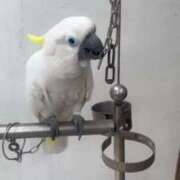 ヒメ日記 2025/06/07 21:49 投稿 まりか 名古屋回春性感マッサージ倶楽部