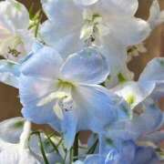 ヒメ日記 2025/06/22 14:49 投稿 まりか 名古屋回春性感マッサージ倶楽部