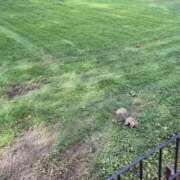 ヒメ日記 2025/09/10 10:49 投稿 まりか 名古屋回春性感マッサージ倶楽部