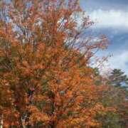 ヒメ日記 2025/10/10 16:39 投稿 まりか 名古屋回春性感マッサージ倶楽部