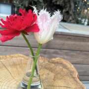 ヒメ日記 2026/03/19 00:14 投稿 まりか 名古屋回春性感マッサージ倶楽部