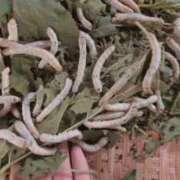 ヒメ日記 2026/04/07 00:29 投稿 まりか 名古屋回春性感マッサージ倶楽部