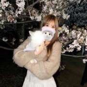 ヒメ日記 2026/04/06 13:55 投稿 愛　ローズ クラブ　ブレンダ難波店