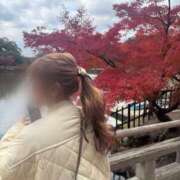 ヒメ日記 2025/03/31 08:32 投稿 ひびき Evolution 2nd