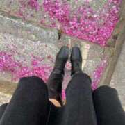 ヒメ日記 2025/04/04 21:30 投稿 ひびき Evolution 2nd