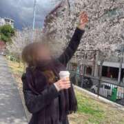 ヒメ日記 2025/04/06 06:32 投稿 ひびき Evolution 2nd