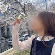 ヒメ日記 2025/04/09 08:21 投稿 ひびき Evolution 2nd