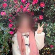 ヒメ日記 2025/04/12 21:22 投稿 ひびき Evolution 2nd