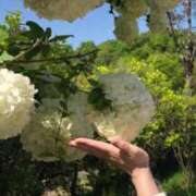 ヒメ日記 2025/04/17 12:11 投稿 ひびき Evolution 2nd