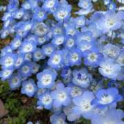 ヒメ日記 2025/04/21 08:45 投稿 ひびき Evolution 2nd