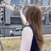 ヒメ日記 2025/04/24 11:09 投稿 ひびき Evolution 2nd