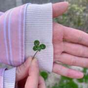 ヒメ日記 2025/04/24 13:03 投稿 ひびき Evolution 2nd