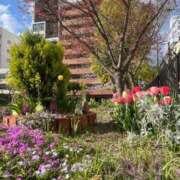 ヒメ日記 2025/05/29 13:29 投稿 ひびき Evolution 2nd