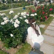 ヒメ日記 2025/06/02 21:32 投稿 ひびき Evolution 2nd