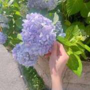 ヒメ日記 2025/06/06 14:02 投稿 ひびき Evolution 2nd