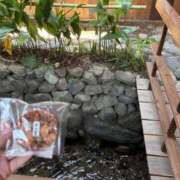 ヒメ日記 2025/06/25 08:56 投稿 ひびき Evolution 2nd