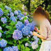 ヒメ日記 2025/06/29 22:16 投稿 ひびき Evolution 2nd