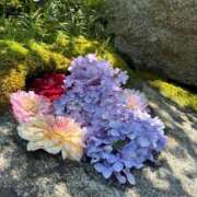 ヒメ日記 2025/07/03 07:22 投稿 ひびき Evolution 2nd