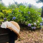 ヒメ日記 2025/07/14 13:22 投稿 ひびき Evolution 2nd