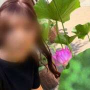 ヒメ日記 2025/07/20 09:22 投稿 ひびき Evolution 2nd