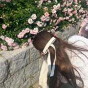 ヒメ日記 2025/07/24 00:12 投稿 ひびき Evolution 2nd