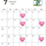 ヒメ日記 2025/08/19 13:19 投稿 ひびき Evolution 2nd